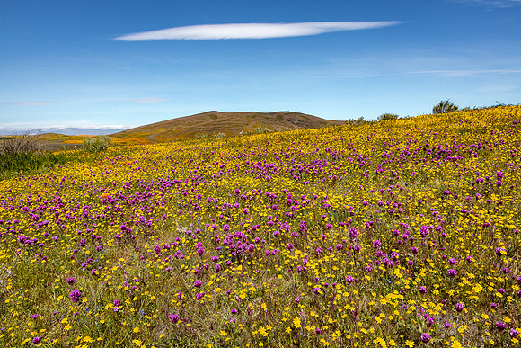 One Cloud, Antelope Valley
