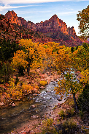 Zion Fall Color