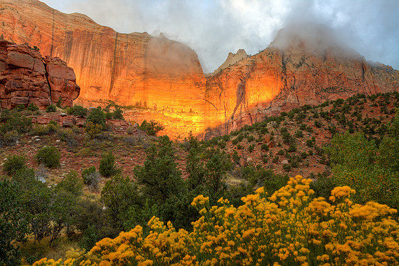 Mountain Light, Zion NP
