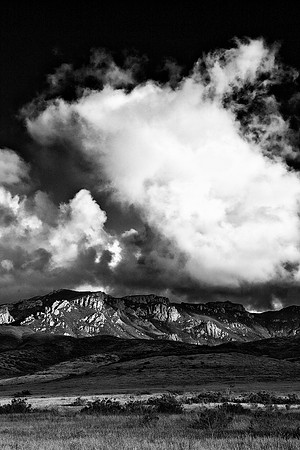 Boney Mountain Spring B&W