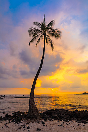 Lone Palm Sunset, Hawaii