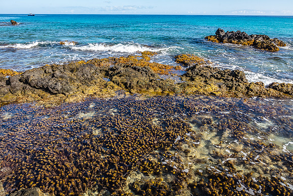 Kua Bay TIde Pool, Hawaii