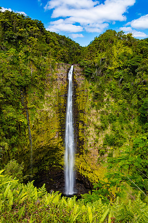 Akaka Falls Morning, Hawaii