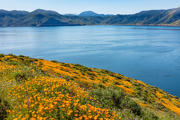 Diamond Valley Lake
