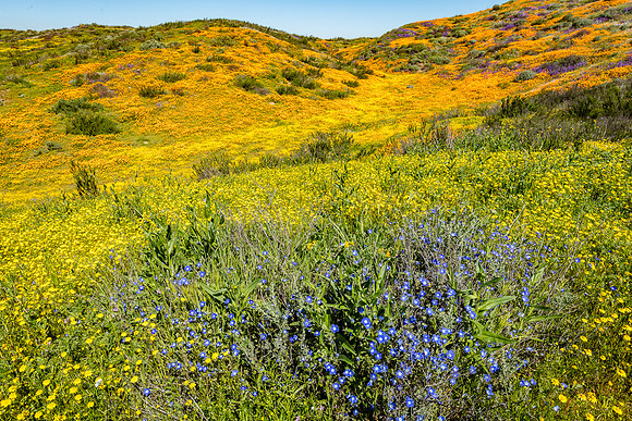 Color by the Numbers, Diamond Valley Lake