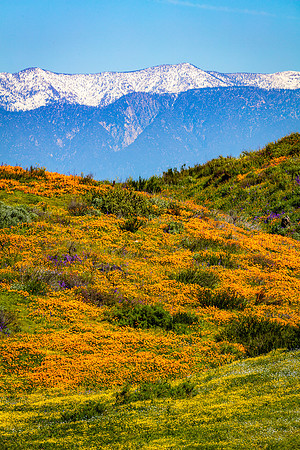 Mountain View, Diamond Valley Lake