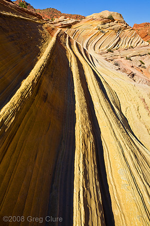 The Wave II South View