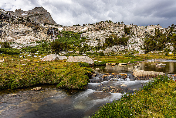 Connes Creek Meadow, Hall Natural Area