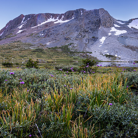 Wild Onions at Greenstone Lake, 20 Lakes Basin Loop