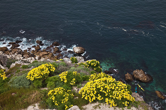 Cavern Point Kayakers, Santa Cruz Island