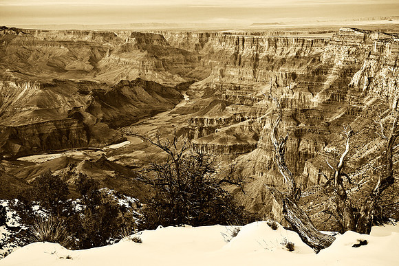 Desert View of the Colorado, Grand Canyon, Sepia Toned