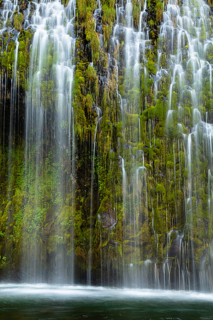 Dripping Moss, Mossbrea Falls\