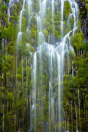 Weeping Mosses, Mossbrea Falls