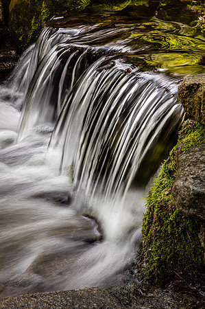 Fern Spring Cascade