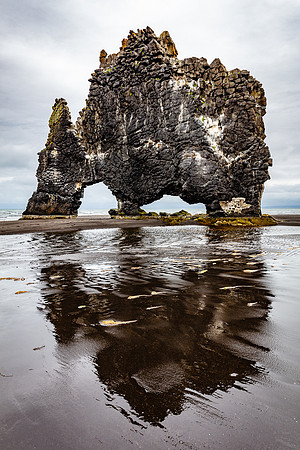 Hvitserkur Troll Reflection