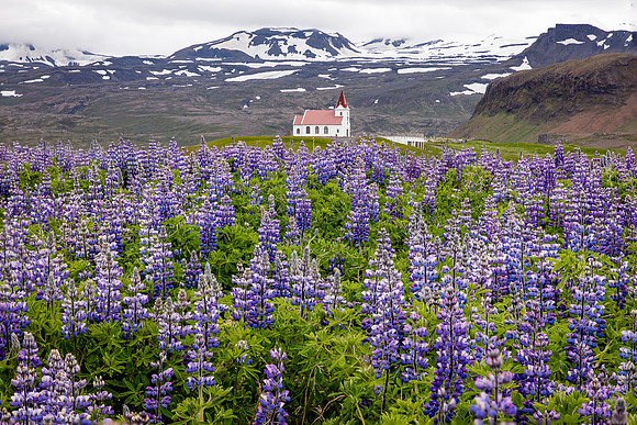 Ingjaldshóll Church