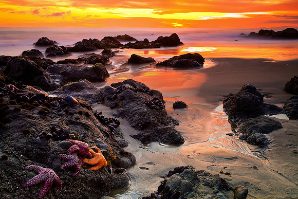 5-Star Sunset
