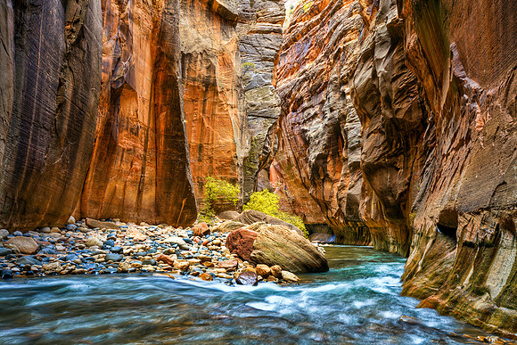 Narrowed Flow, Zion Narrows