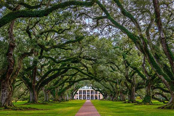 Oak Alley Plantation