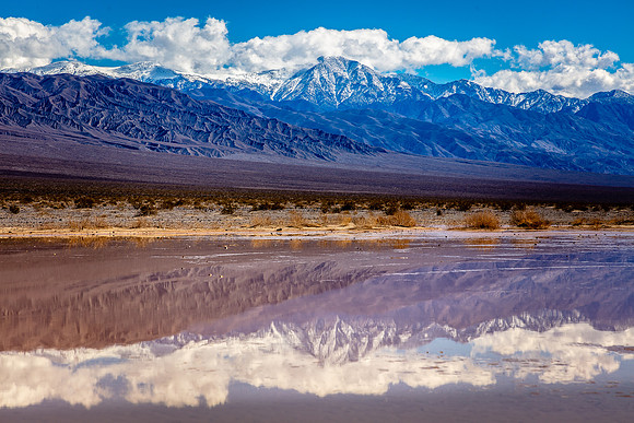 Panamint Playa Reflection