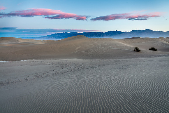 Pink Clouds Sunrise, Mesquite Flats Sand Dumes