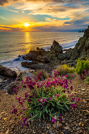 Golden Spring Sunset