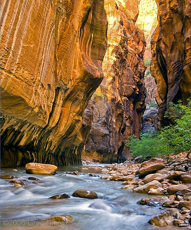 Zion Narrows Gold, Zion NP