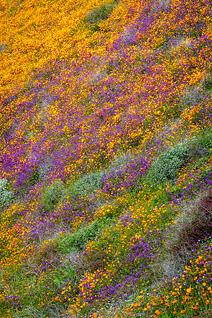 Color Mix, Walker Canyon