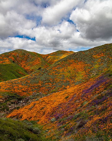 Clouds and Color, Walker Canyon