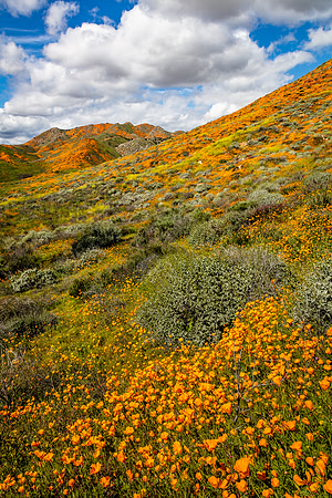Walker Canyon