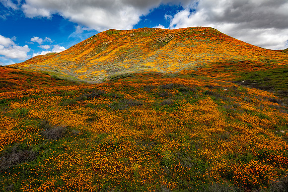 Hill Top Spotlight, Walker Canyon