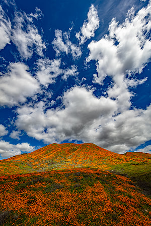 Big Sky Over Poppy Hill, Walker Canyon