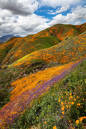 Color Layers, Walker Canyon