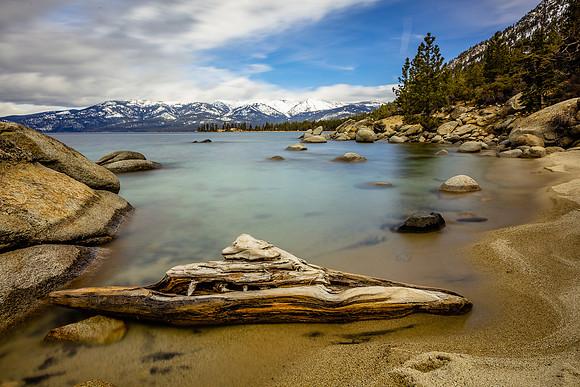 Driftwood, Lake Tahoe