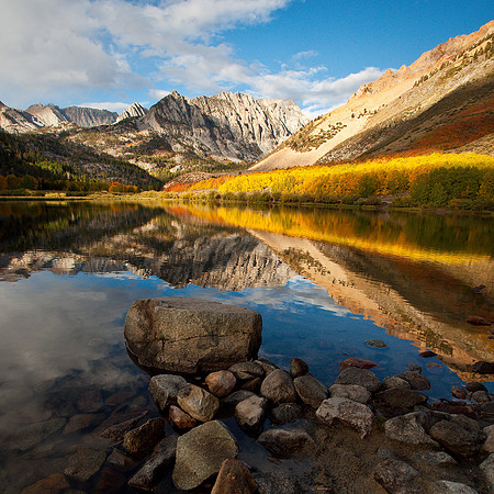 Aspen Glow