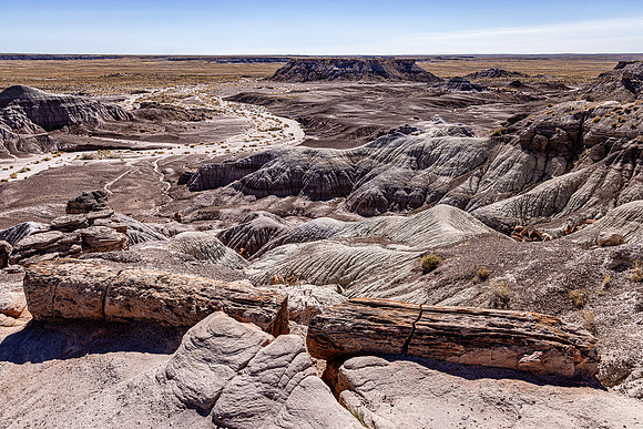 Pertified Forest Badlands