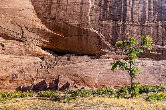 White House Ruins & Cottonwood, Canyon de Chelly NM