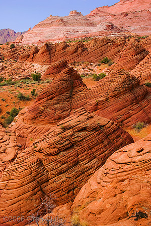 Coyote Buttes North Paria Canyon-Vermillion Cliffs Wilderness Area
