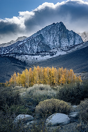 Aspen Island, Buttermilk Hills