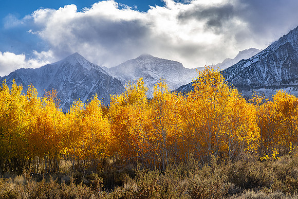Clearing Storm from Buttermilk Hills Aspen Grove