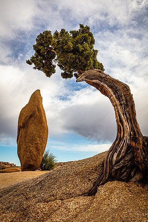 Clouds Building over Juniper & Monolith