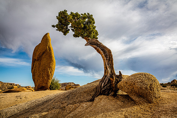 Last Light on Juniper & Monolith