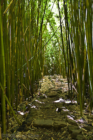 Pipiwai Trail, Maui