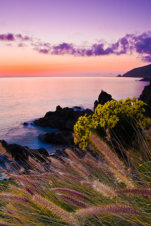 Sycamore Cove After Sunset, Point Mugu SP