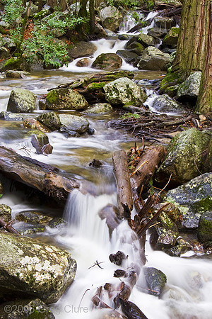 Cathedral Creek