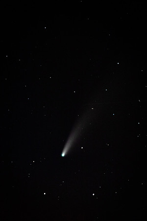 NEOWISE Comet