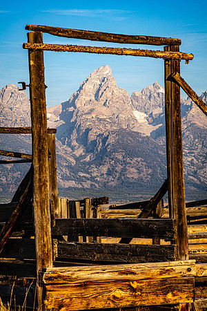 Cattle Shoot framing Teton Peak, Mormon Row, Grand Teton NP