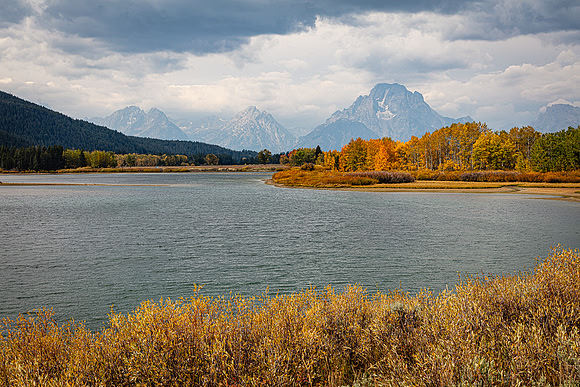 Above the Willows, Oxbow Bend, Grand Teton NP