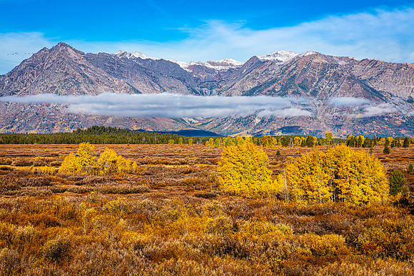 Willow Flats, Grand Teton NP