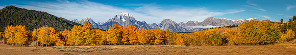 Aspen Panorama, Oxbow Bend, Grand Teton NP